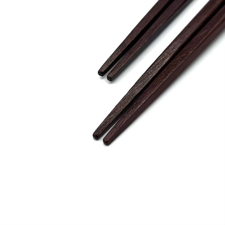 Wakasa-Nuri Tapered Tip Chopsticks - Washi Cherry Blossom